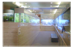 ミニ水族館
